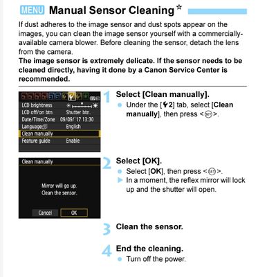 Sensor Cleaning T100-1.jpg