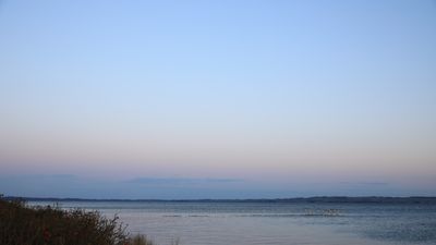 117A0350.jpg