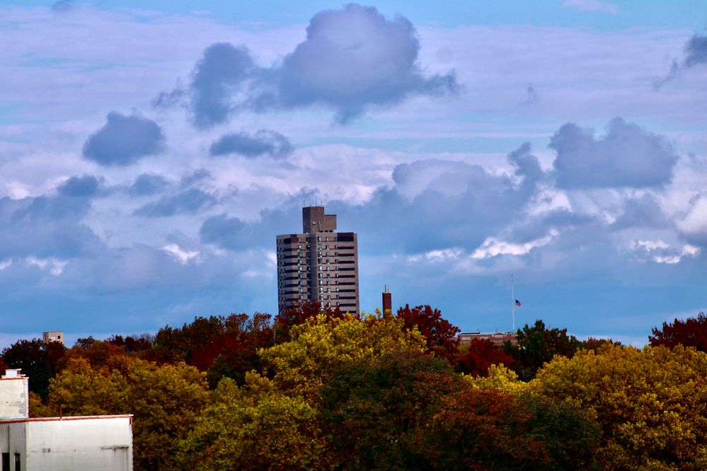 Cityscape: Bronx NY