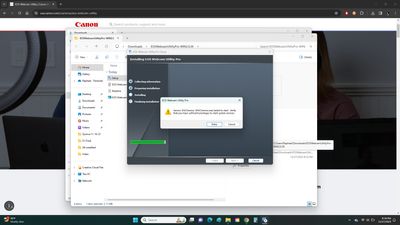 EOS Webcam Utility Pro error screen.jpg