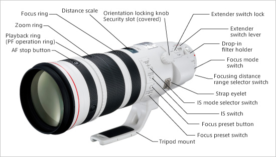 Canon 200-400mm f/4L IS Lens