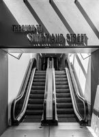 The way ahead, Auckland, NZ