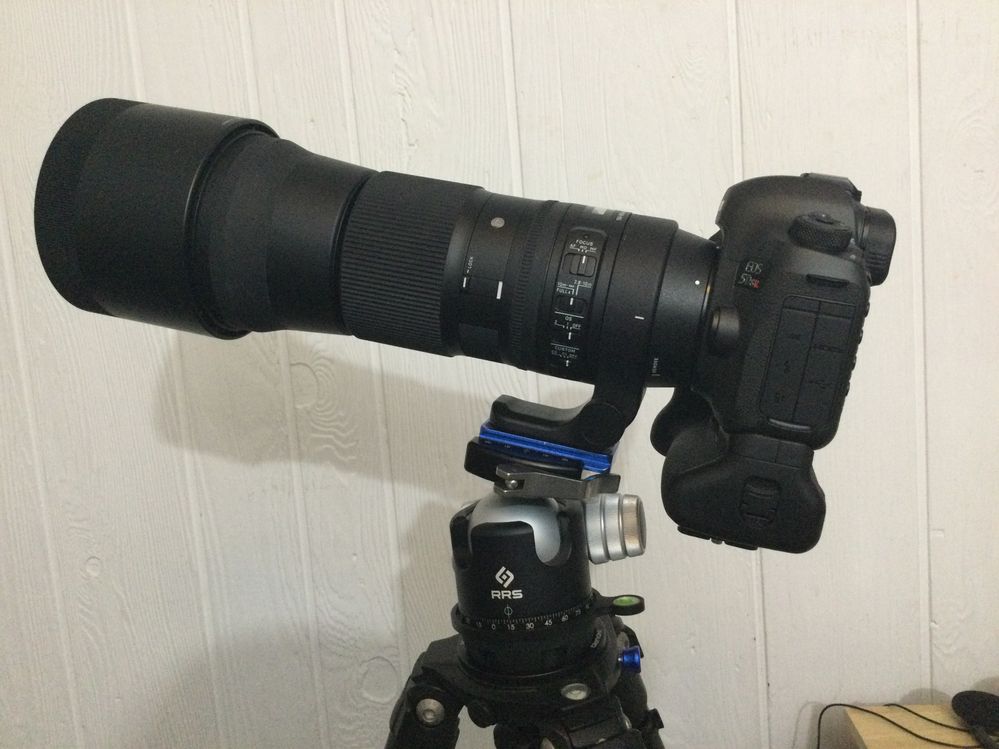 Solved: Re: Sigma 150-600mm Contemporary for Cannon Rebel 