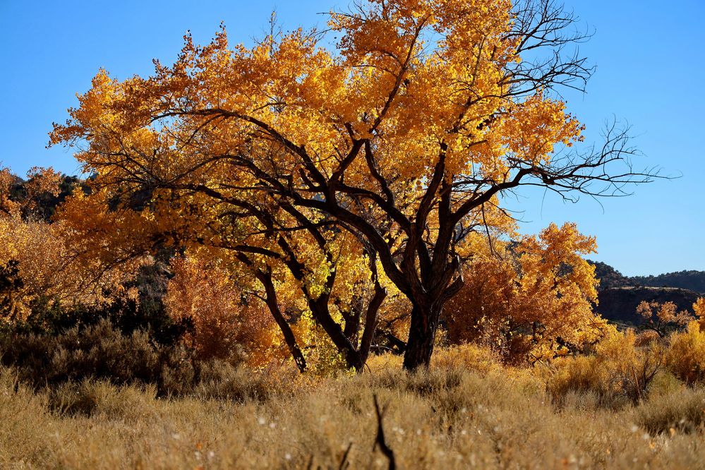 Jemez Hot Springs R8 11 Nov 23 0365.JPG