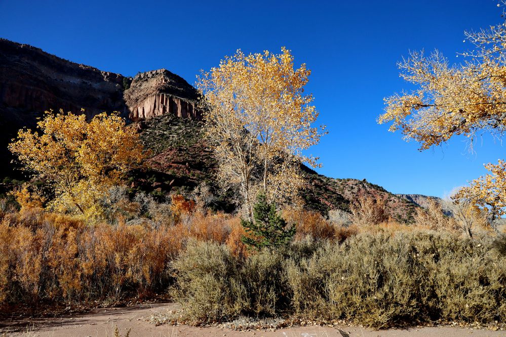 Jemez Hot Springs R8 11 Nov 23 0385.JPG