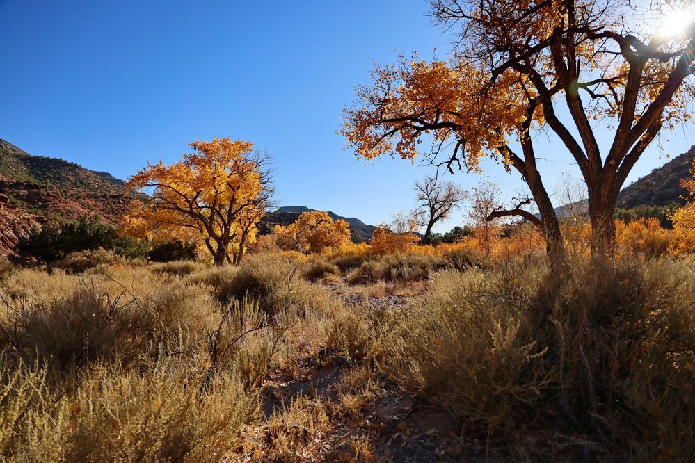 Jemez Hot Springs R8 11 Nov 23 0409.JPG