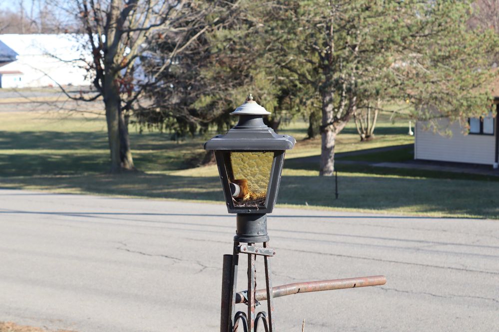 ResizedLightpost.jpg