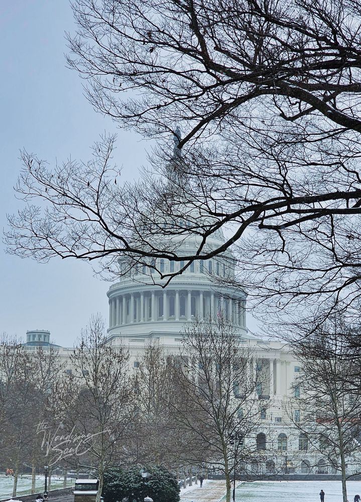 Capitol Hill, Washington DC