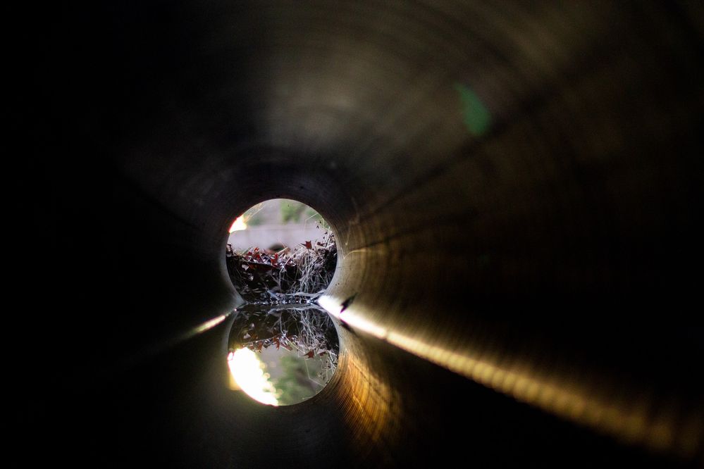 50mm, F1.8, 1/125, ISO 1600