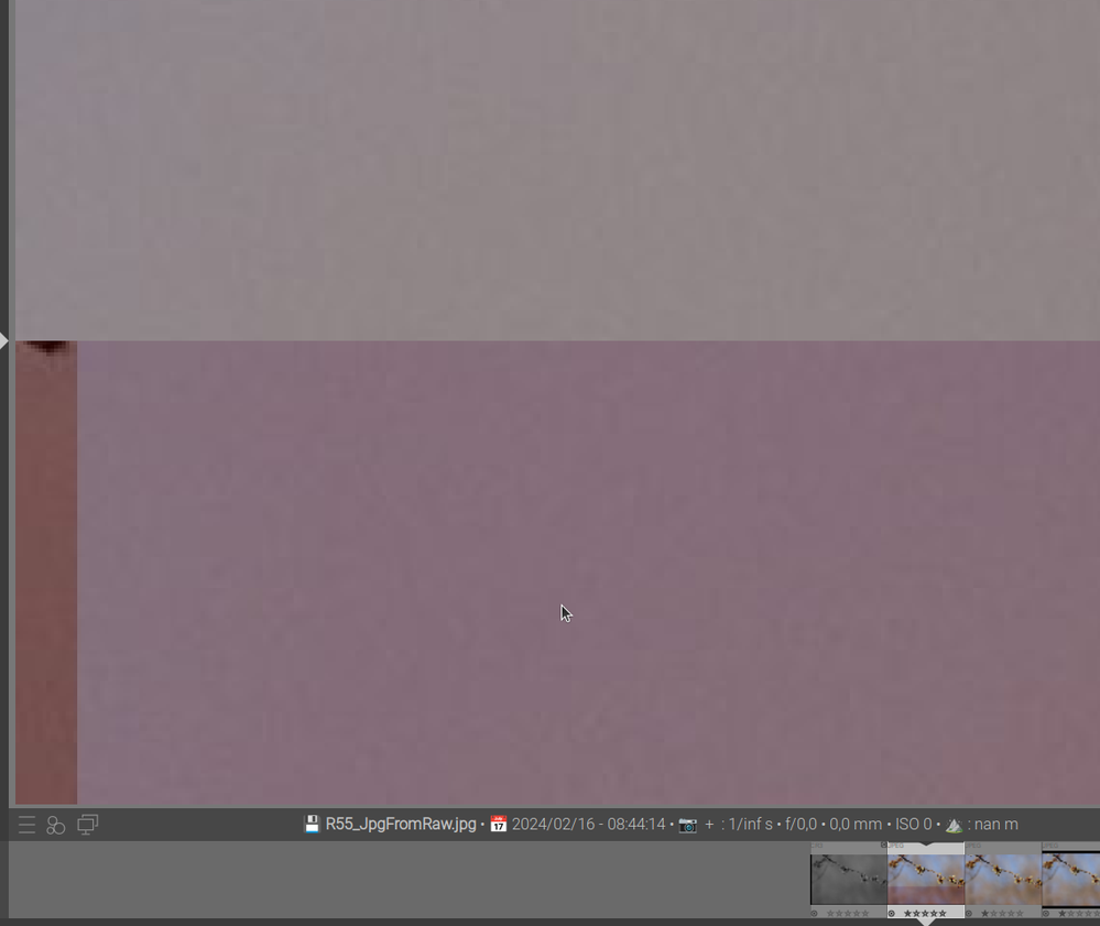 Full size embedded JPEG