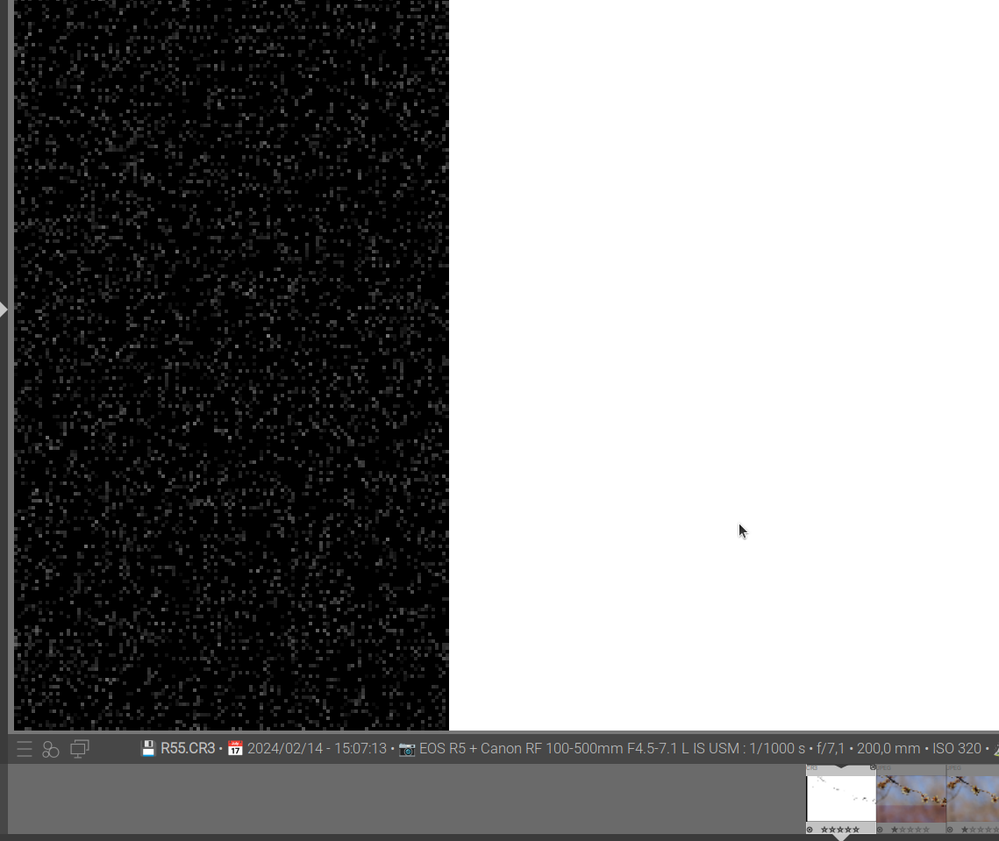 A brighter version of the raw file with no demosaicing and no cropping of the left border. Nothing strange in the masked pixels either.
