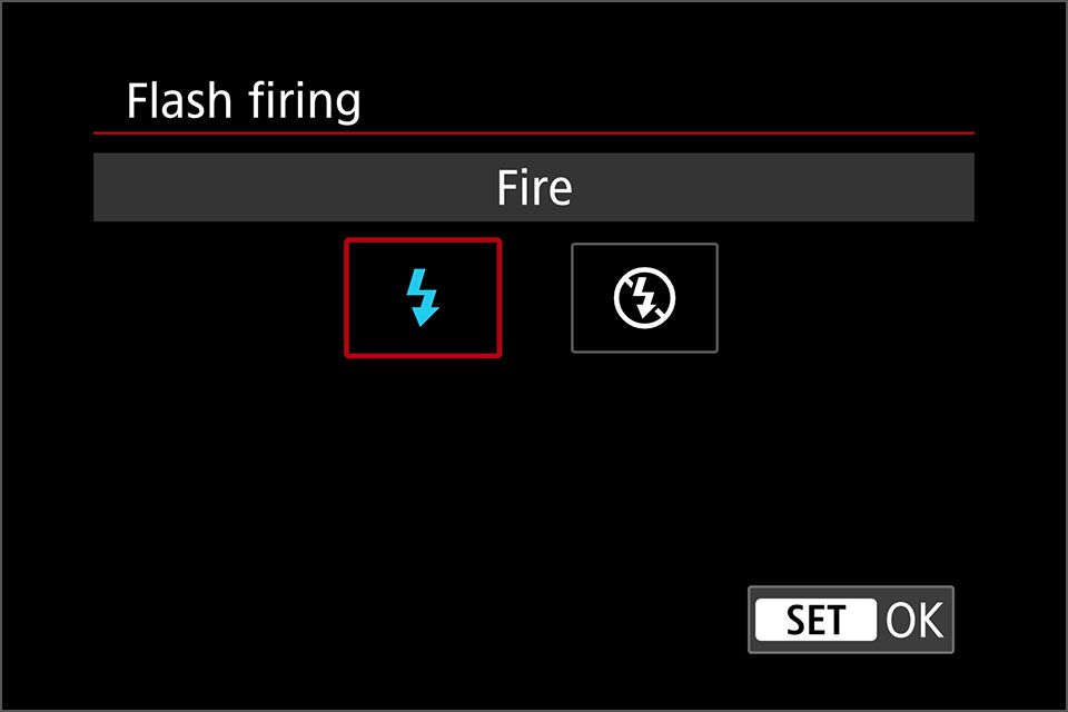 EOS R10 - flash disabled 3.jpg