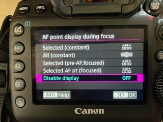 After selecting AF point display during focus