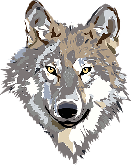 greybrightnwolf