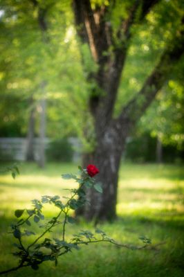 IMG_0666-2.jpg