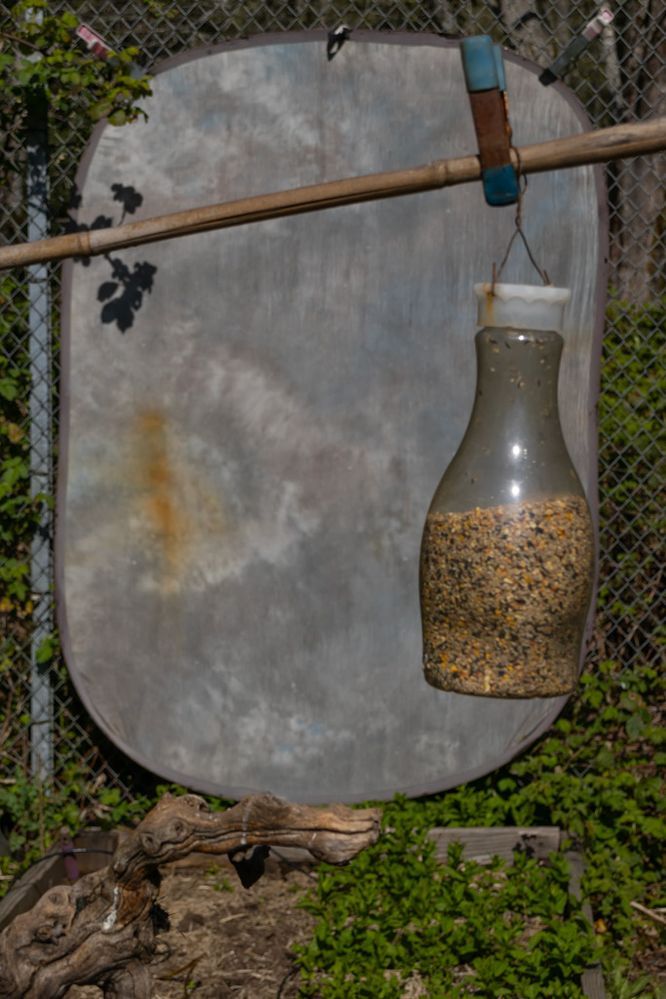 Single port feeder nd pop up background