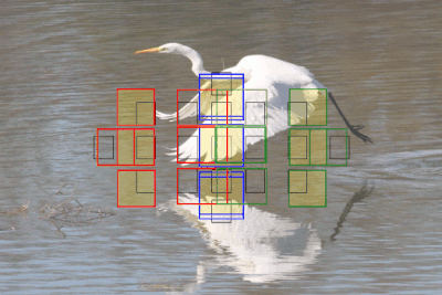 7D AF zones