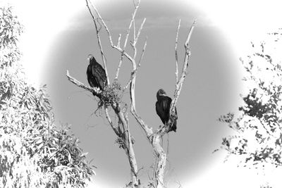 IMG_0846.jpeg