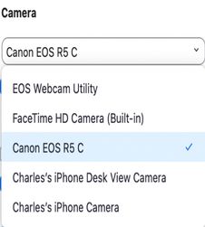 Canon R5C Zoom2.jpg
