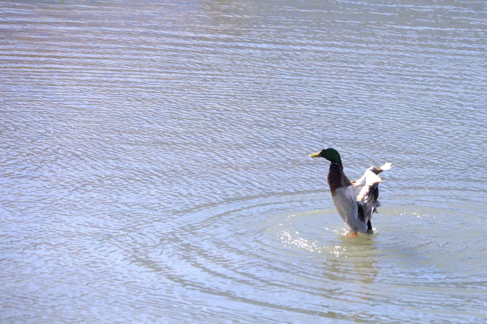 Stretching thinking everything was alright..