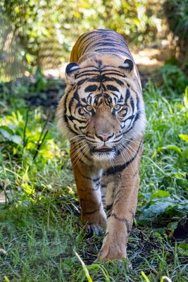 R62A2730 VLR copy.jpg