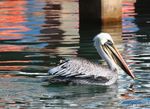 IMG_1596.jpg