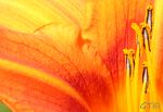 IMG_1569.jpg