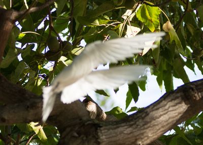 Screenshot 2024-05-22 at 8.24.49 PM.jpg