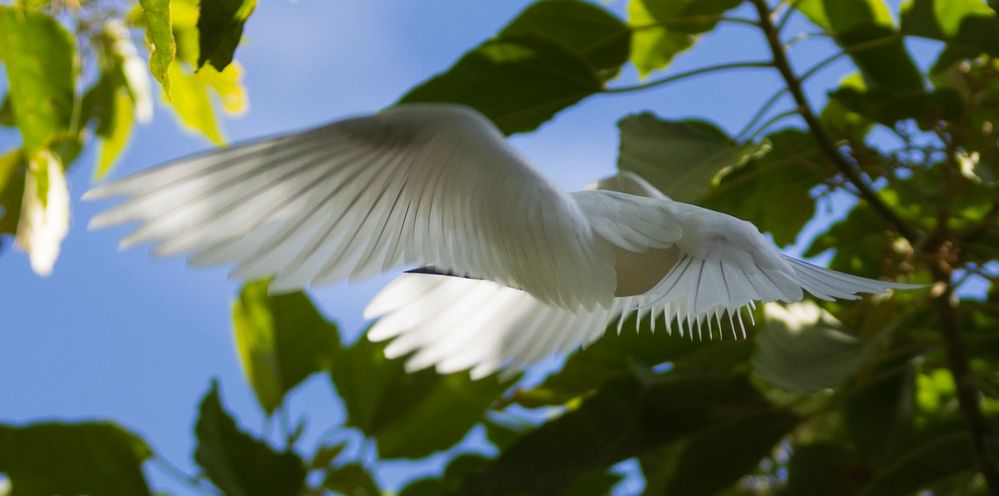 Screenshot 2024-05-22 at 7.57.37 PM.jpg