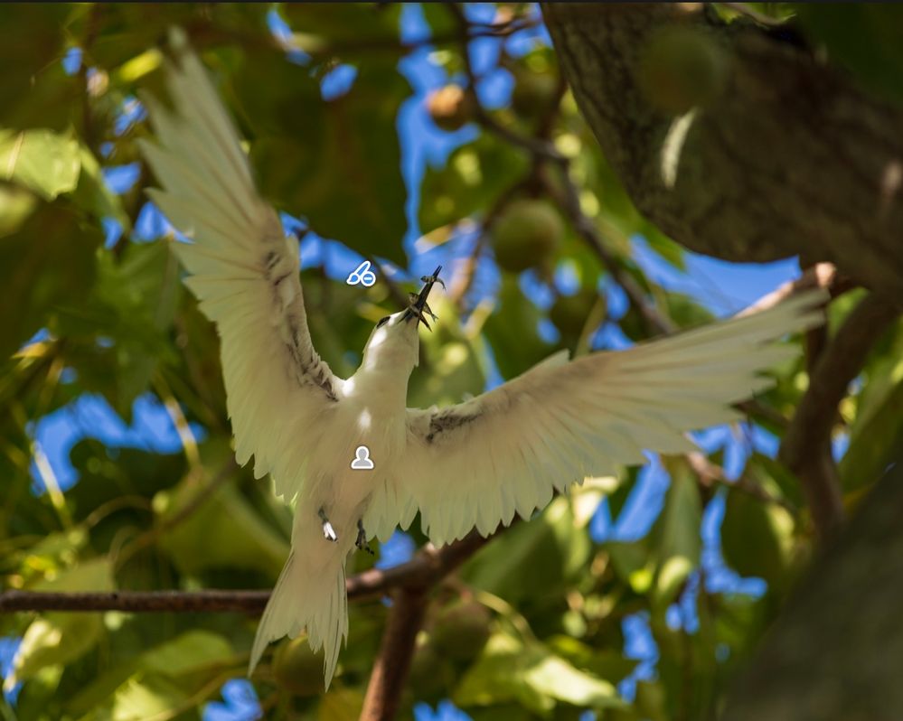 Screenshot 2024-05-24 at 11.11.01 PM.jpg