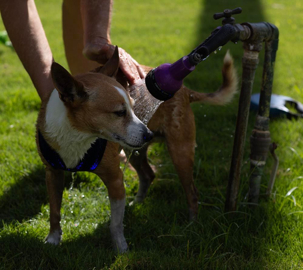 Screenshot 2024-05-26 at 4.32.14 PM.jpg