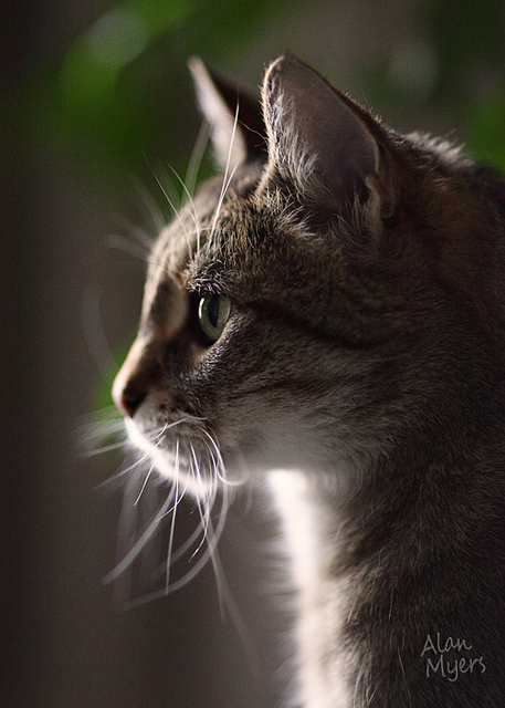 Sabrina, lost in thought