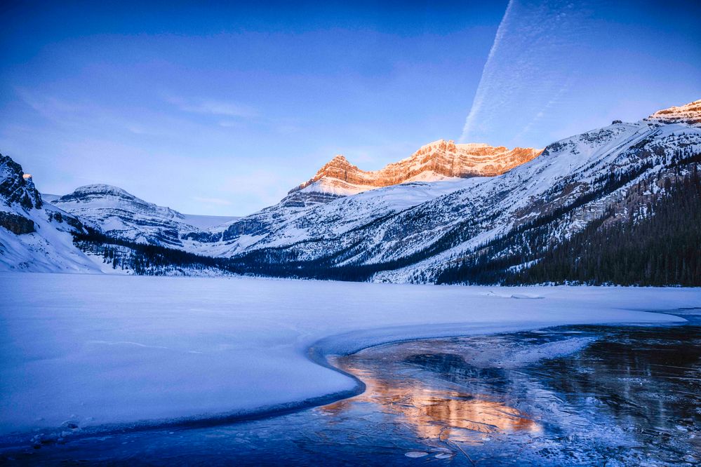 Blue hour at Bow Lake in Canadian Rockies