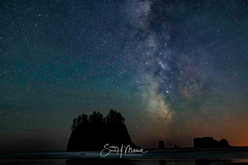 2nd Beach Olympic National Park