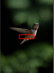 Screenshot 2024-06-25 at 1.30.59 PM.png