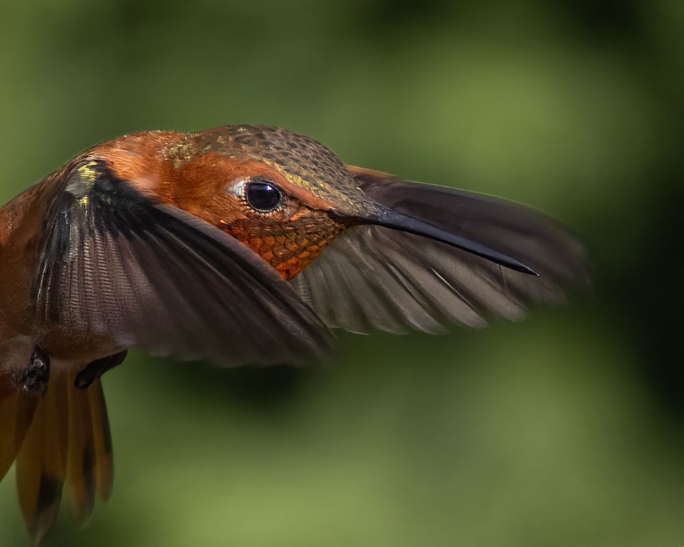 ...resulting in this headshot.