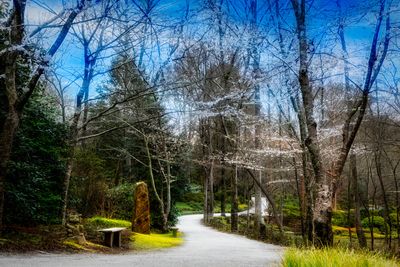 2022_March _GibbsGarden_Canon Community.jpg
