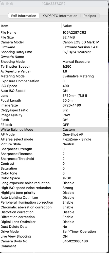 Screen Shot 2024-07-01 at 11.06.41 am.png