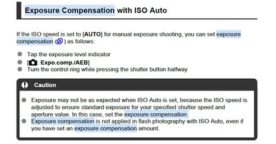 Auto ISO Exp Comp R10-1.jpg