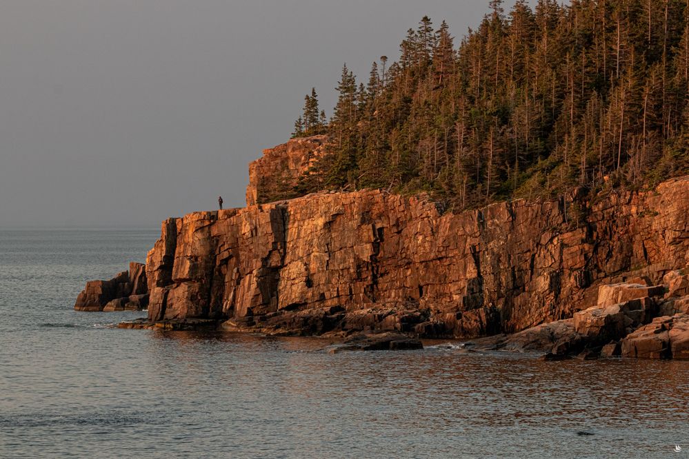 Acadia