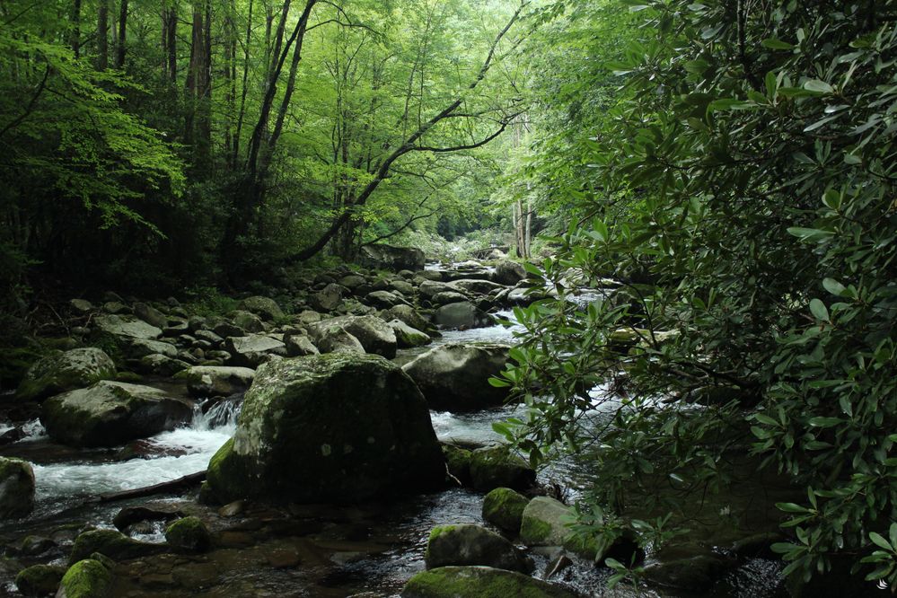 Great Smoky Mountains