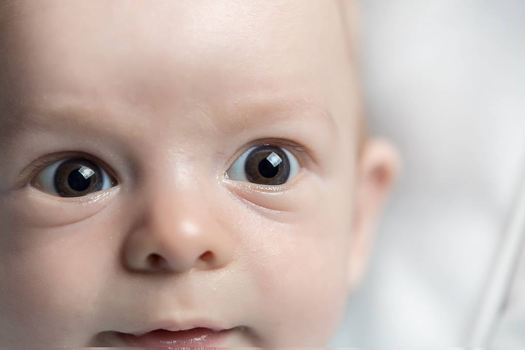 Fotodiox Spectral Highlight