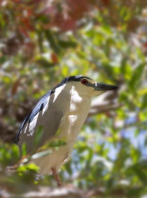 IMG_1054 copy-1.jpg