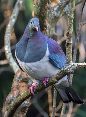 _5017086 LR copy.jpg