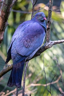 _5017084 LR copy.jpg