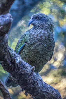 _5017064 LR copy.jpg