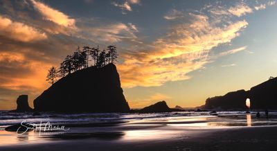 2023_September-Olympic NAtional Park-525-Canon Community.jpg