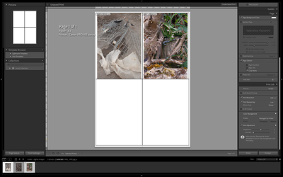 Screenshot 2024-07-23 at 17.40.13.png