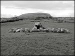 I made this photograph of an alignment of Megalithic monuments, a stone circle, a passage tomb, and the grave of Queen Maeve atop Knocknarea seen from Carrowmore, Sligo, IE, on April 25, 2007 using old technology, a Canon PowerShot A710 IS. A story about Queen Maeve is at: https://celt.ucc.ie/published/T301012/index.html