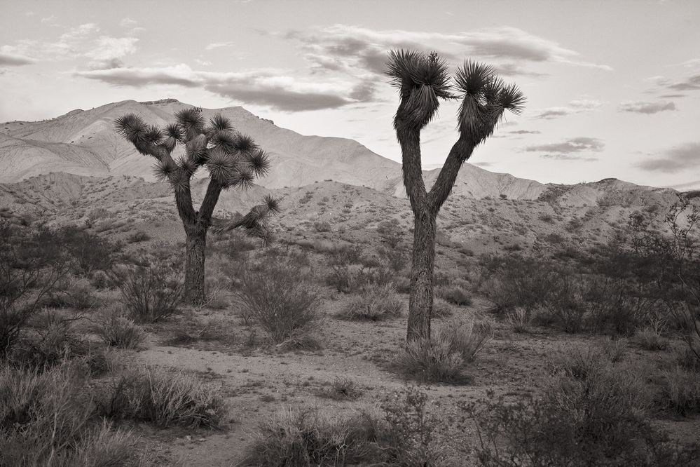 Death Valley, California.jpg